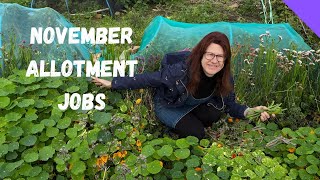 November Allotment Jobs for Beginners UK Revealed [upl. by Larrad383]