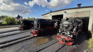 Festwochenende  125 Jahre Harzquer  und Brockenbahn 2408  25082024 [upl. by Asyle]