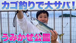 【横須賀うみかぜ公園】40cm超の大サバが釣れた！いま横須賀が激アツ！ [upl. by Aneger]