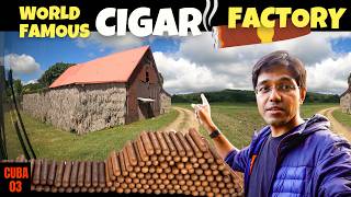 This is How 🔥 WORLD’S BEST CIGARS are Made│🇨🇺 Cuba Vlog 3 [upl. by Krigsman263]