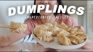 COMO HACER EMPANADILLAS CHINAS o GYOZAS CASERAS Receta básica para principiantes  SoYui [upl. by Rosner]