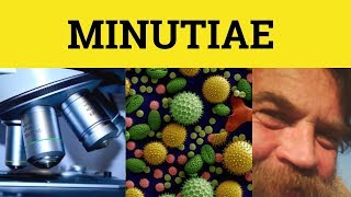 🔵 Minutiae  Minutiae Meaning  Minutiae Examples  Latin in English [upl. by Asiela87]