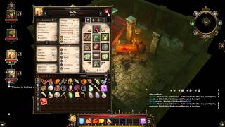 Divinity Original Sin Coop Walkthrough part 25 Source Nightmare [upl. by Namwen]