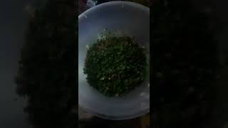 🍎🌶HOW TO MAKE quotPARSLEY SALADquot wCOMPLETE RECIPE [upl. by Nosirb]