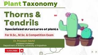 Thorns Tendrils amp Phylloclade  Specialized structures of plants  Dr Praveen Mohil [upl. by Kruter]