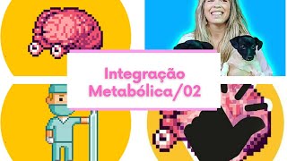 Integração Metabólica02 [upl. by Nilatak]