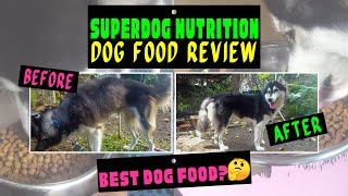 SUPERDOG NUTRITION DOG FOOD REVIEW [upl. by Nahn285]