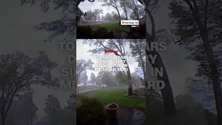 Tornado tears down ‘every single tree’ in Michigan yard [upl. by Norre]