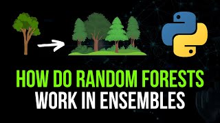 How Do Random Forests Work amp What is Ensemble Learning [upl. by Dayir]