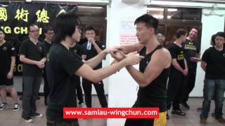 Jeran amp Alex Sam Lau Wing Chun Chi Sau [upl. by Sinclair]