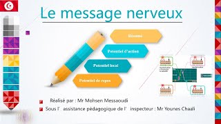 Neurophysiologie message nerveux [upl. by Zsuedat]