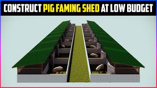 Pig Faming Shed Plan At Low Budget  How To Construct HogSwine Farming Shed For Beginners [upl. by Rehpotsirhcnhoj]