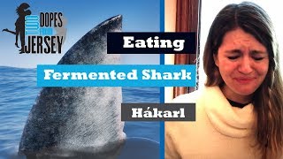 Eating Fermented Shark Hakarl [upl. by Maryanne]