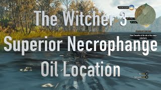 The Witcher 3 Superior Necrophage Oil Location [upl. by Hippel787]