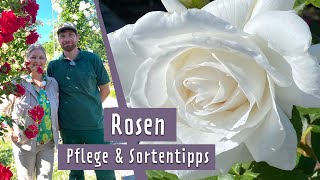 Rosen Pflegeempfehlungen und Sortentipps  MDR Garten [upl. by Nahsar]