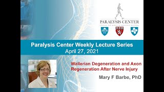 Wallerian Degeneration and Axon Regeneration After Nerve Injury  Mary F Barbe PhD [upl. by Gizela2]