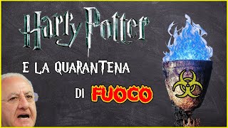 HARRY POTTER E LA QUARANTENA DI FUOCO  Parodia [upl. by Ahtekahs132]