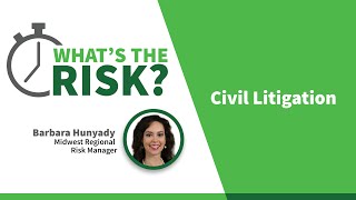 2 Minutes What’s the Risk Civil Litigation [upl. by Ateloiv]