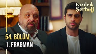 ​Kızılcık Şerbeti 54 Bölüm 1 Fragman  “Biz o çocuğu kabul etmiyoruz” [upl. by Gyatt]