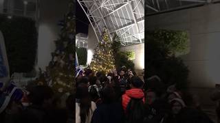 📹💓🩰🎄🎀✨unitec encendidodelarbol navidad universidad baile [upl. by Winnah]