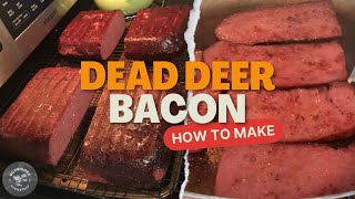 How To Make Venison Bacon 🥓 [upl. by Acinorev]