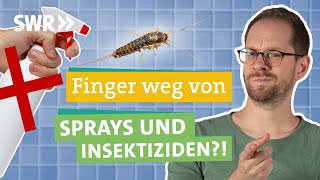 Silberfische Schnell und effektiv bekämpfen und loswerden I Ökochecker SWR [upl. by Ingeborg]