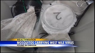 Mosquitos carrying the West Nile virus found in Oregon [upl. by Tonie521]