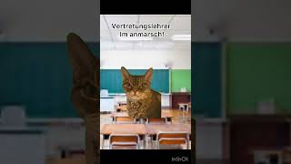 Vertretungslehrer cat tiktok funny lustig memes shorts pov fyp funnymemes [upl. by Yeliah]