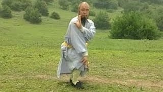 Shaolin Kung Fu Combat Styles 5 7star form 七星拳 qixing quan [upl. by Hedwig]