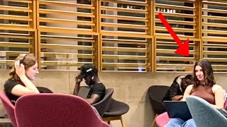 Blasting INAPPROPRIATE Songs In The Library PRANK [upl. by Gnoz]