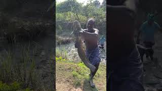 மீண்டும் சிக்கிய அதே மீன் enathuaran fishing [upl. by Assilla]