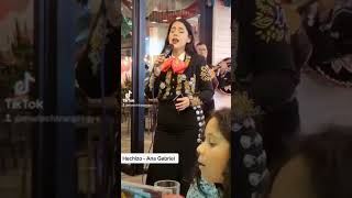 Hechizo  Ana Gabriel Cover [upl. by Alyat]