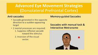 Clinical Application of Eye Movement Therapy [upl. by Morita]