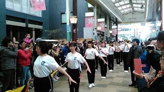 Kyoto Tachibana High School Marching Band at The 18th Kyoto Sakura Paradestarting scene [upl. by Stefanac]