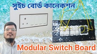 quotModular Switch Board Fitting Guide  Easy Switch Board Installation  Electrical Guru Tipsquot [upl. by Faria]