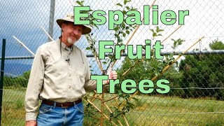 How to Espalier Fruit Trees [upl. by Boj667]