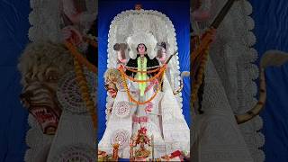 Asche bochor abar hobe jagadhatripuja shortsfeed [upl. by Innattirb]