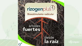 Árboles fuertes desde la raiz  NutraEspecialidades  Noviembre 2024 [upl. by Cynara]