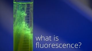 What is Fluorescence [upl. by Timmons]