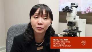 CALR Mutation Analysis Myeloproliferative Neoplasm MPN [upl. by Obbard167]