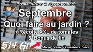 🌻 SEPTEMBRE QUOI FAIRE AU JARDIN POTAGER EN PERMACULTURE Ornemental amp Verger  Récolte [upl. by Derk]