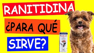 RANITIDINA para Perros ¿PARA QUÉ SIRVE [upl. by Landbert]