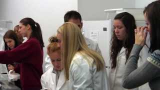 Ohio Dominican University  Cadaver Labs [upl. by Philly]