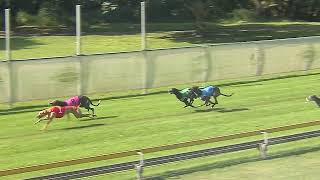 Capalaba15092024Race7 [upl. by Zeb]