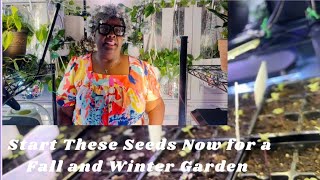 Start These Seeds Now in August for a Fall and Winter Garden Garden Zone 8A Mesquite Texas [upl. by Ardnuhsed]