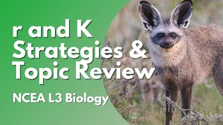 r amp K Strategies and Culture Questions  NCEA L3 Biology 2021 [upl. by Swords10]