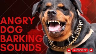 Epic Dog Barking Compilation See How Your Dogs REACTS and Cant Resist [upl. by Arraeit]