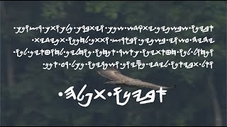 ABAYNO THAPALAH sung by Thaar from the tribe of Gad EXODUS2023 [upl. by Roddie]