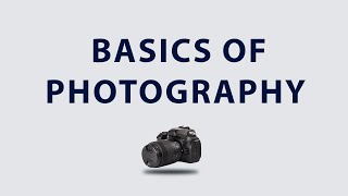 Basics of photography photography camera contenteditor TapOnThisProfilePicture [upl. by Nevil]