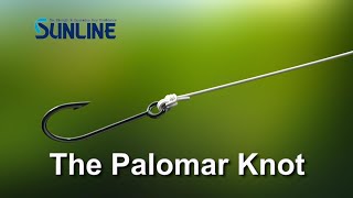 Fishing KnotsPalomar Knot【SUNLINE KNOT SCHOOL】 [upl. by Granger34]